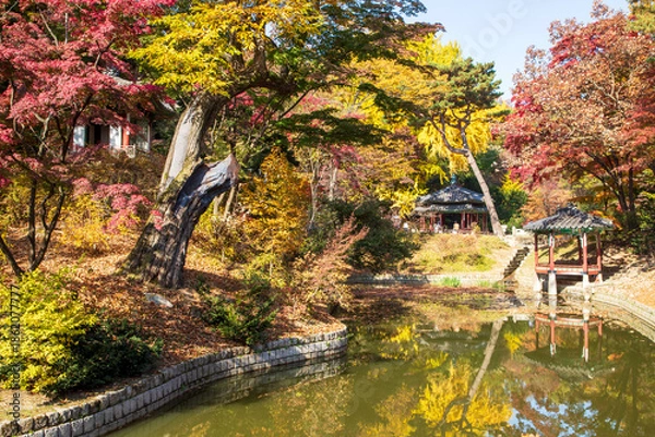 Obraz 창덕궁 후원