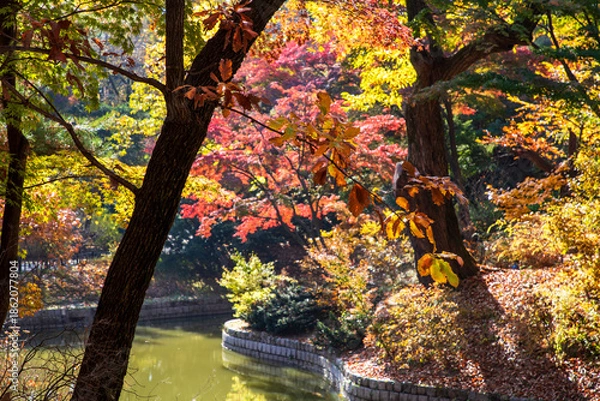 Obraz 창덕궁 후원