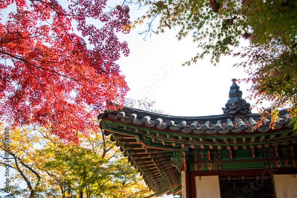 Obraz 창덕궁 후원