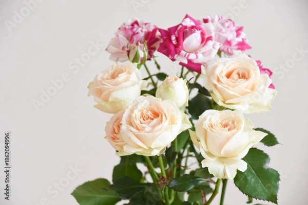 Obraz 黄色とピンクのばら