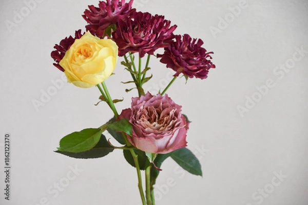 Obraz 三種のばら