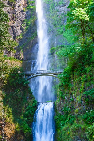 Fototapeta Majestic Multnomah Falls Cascading Through Lush Oregon Forest