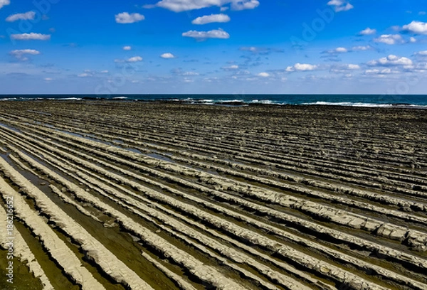 Obraz 日南海岸　鬼の洗濯岩