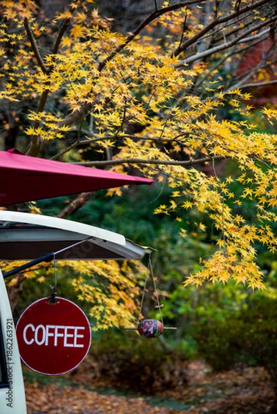 Fototapeta 鎌倉251227　浄智寺2　紅葉