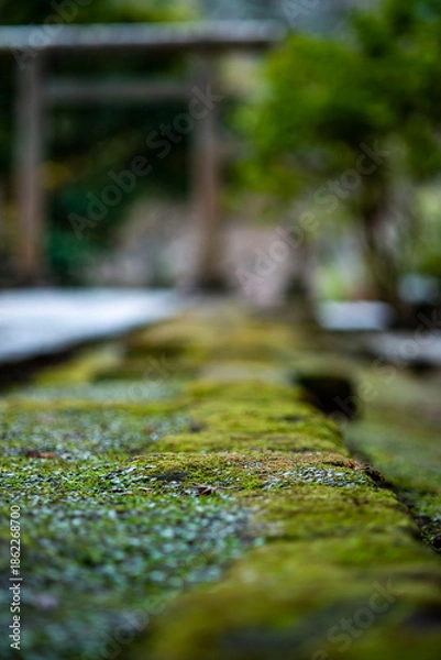 Fototapeta 鎌倉251227　建長寺9　半僧坊