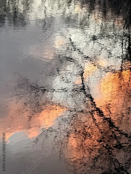Obraz trees reflection on the water surface, beautiful water reflection background