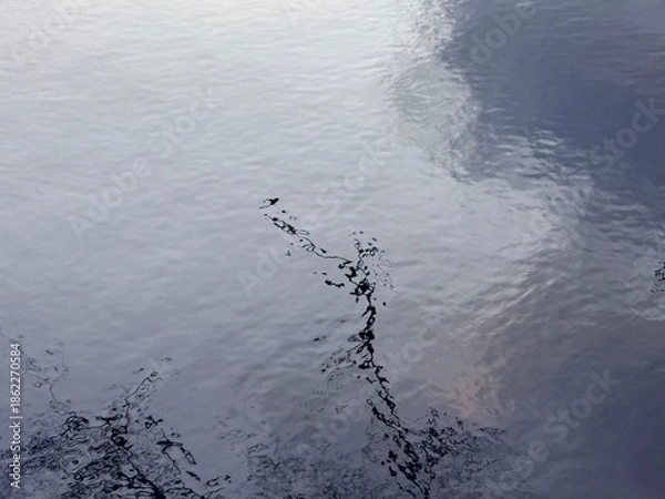 Obraz trees reflection on the water surface, beautiful water reflection background
