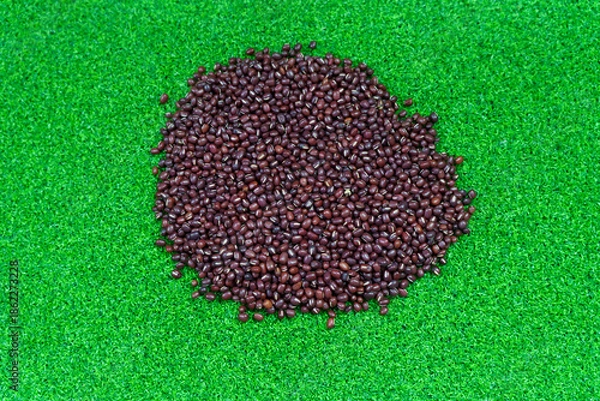 Obraz Assorted beans ingredients  red beans for cooking