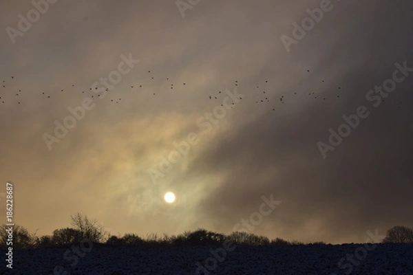 Obraz Soleil D'Hiver