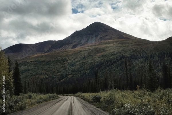 Obraz Mountain behind Denali Highway