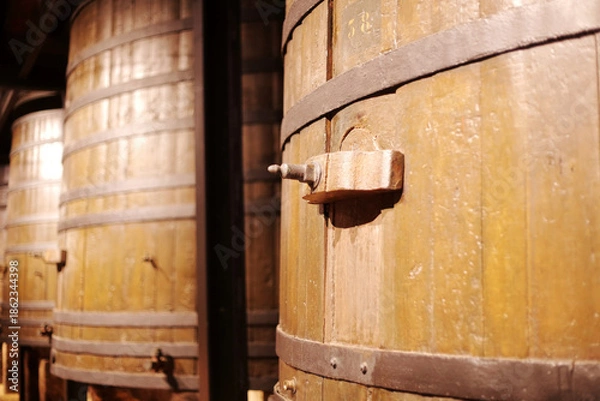 Obraz Marked by Time