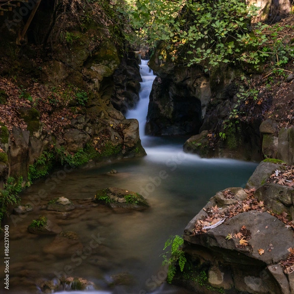 Obraz waterfall in the forest