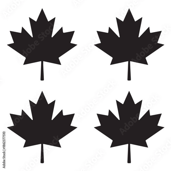 Obraz Maple Leaf Vector Illustration Isolated on White Background