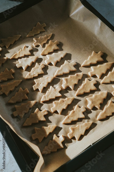 Obraz chocolate chip cookies