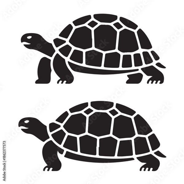 Obraz turtle vector illustration