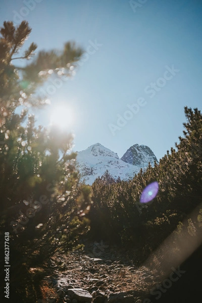 Obraz tree in the mountains