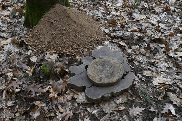Obraz waldbestattung