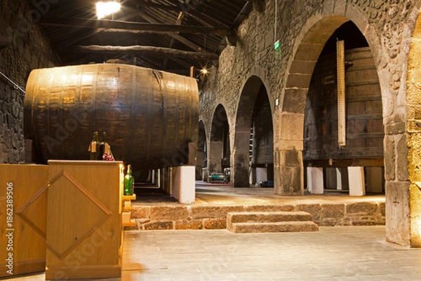 Obraz Douro Valley Winery Interior