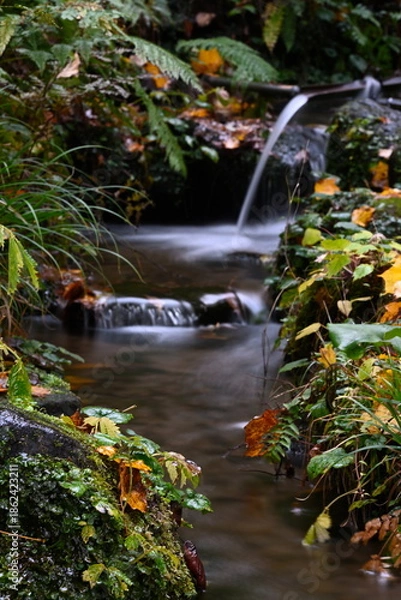 Obraz 秋の杜々の森湧水公園で見られる水辺の紅葉（新潟県長岡市）