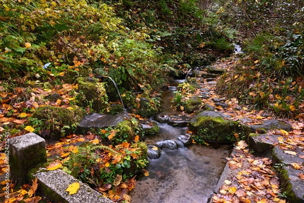Obraz 秋の杜々の森湧水公園で見られる水辺の紅葉（新潟県長岡市）