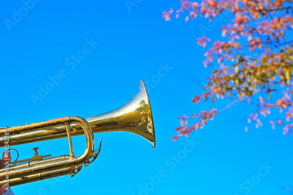 Obraz 紅葉を背景にしたトランペットの演奏風景