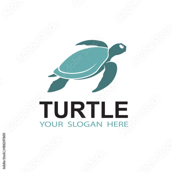 Obraz sea turtle icon isolated on white background
