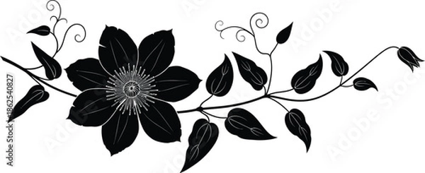 Obraz Decorative Botanical Flower Design Vector on Transparent Background