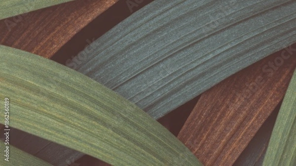 Obraz 緑と茶色の葉の向き合い方