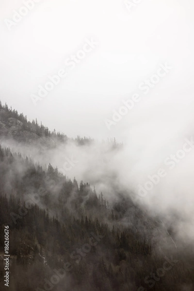 Obraz Dense fog covering slope in Norway.