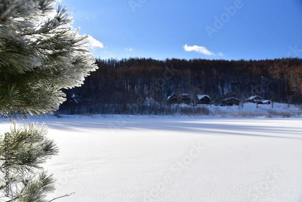 Obraz 木と雪景色