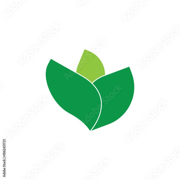Fototapeta leaf    logo icon illustration flat 