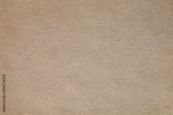 Obraz Old oil canvas paper texture