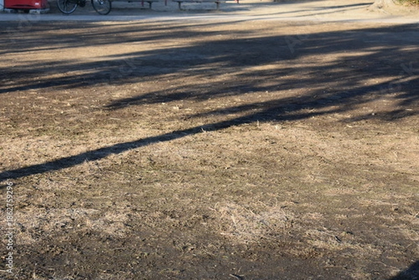 Obraz Tree shadows on the ground with quiet empty background