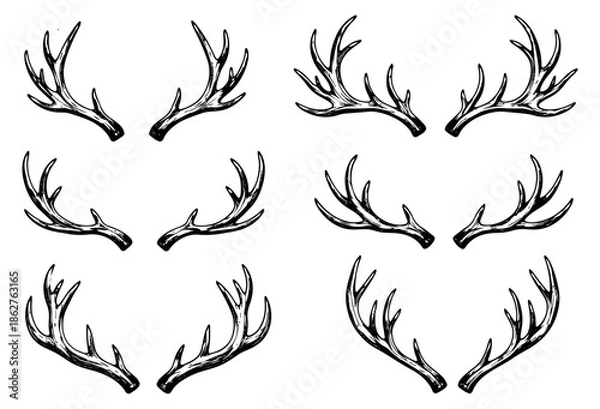 Obraz Hand drawn line art deer antlers set featuring multiple rustic designs for various design elements