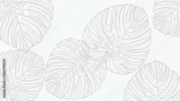 Obraz White Background with Gray Spiral Patterns.