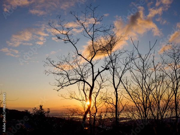 Obraz 神戸渦森台展望公演からの夜明け