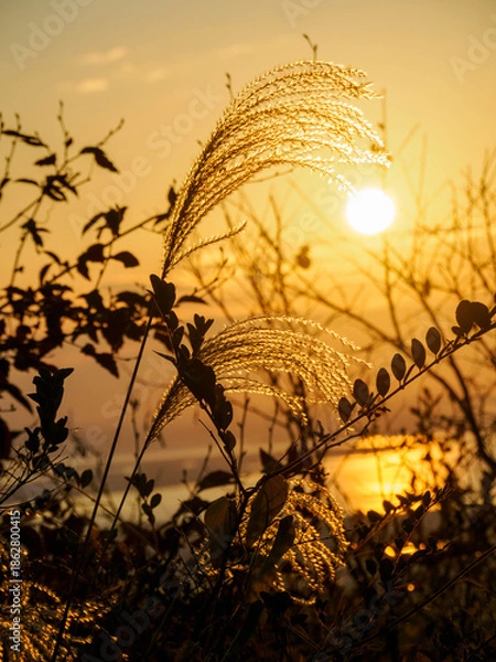 Obraz 神戸渦森台展望公演からの夜明け