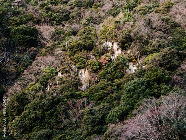 Obraz 六甲山への登山道、アイスロードからの眺め