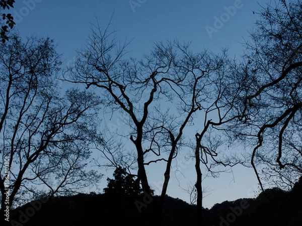 Obraz 六甲山への登山道、アイスロードからの眺め