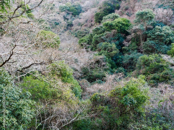 Obraz 六甲山への登山道、アイスロードからの眺め