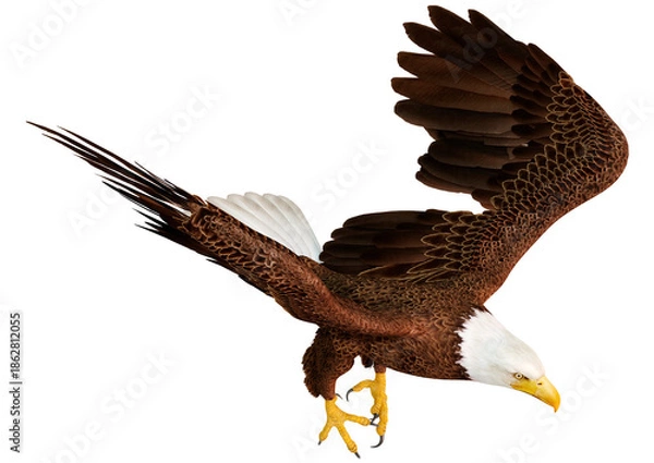 Obraz 3D Rendering Eagle Bird on White