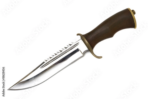 Obraz hunter knife isolated