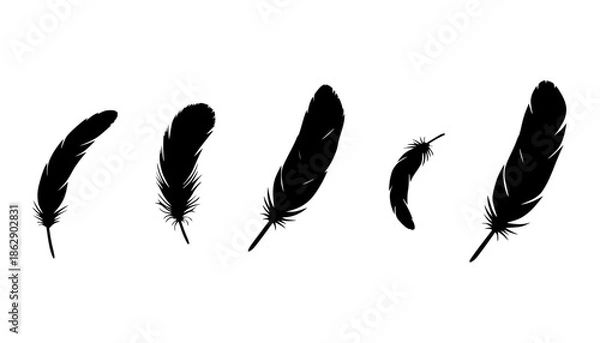 Obraz Falling Feather Silhouette Icon