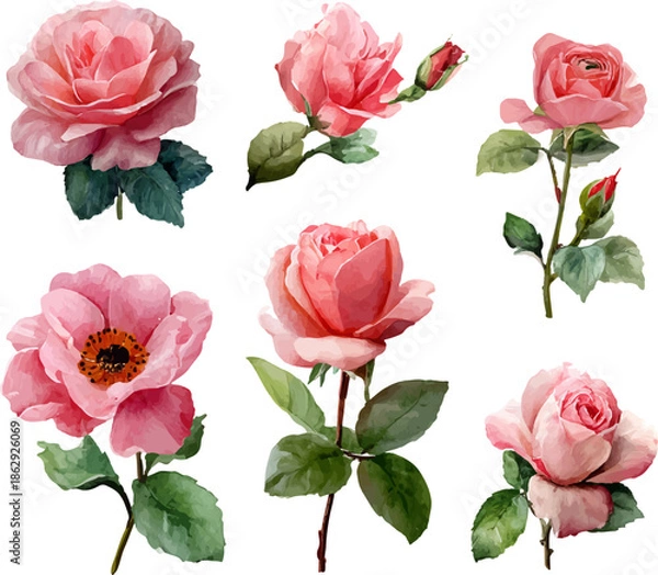 Obraz seamless pattern with roses