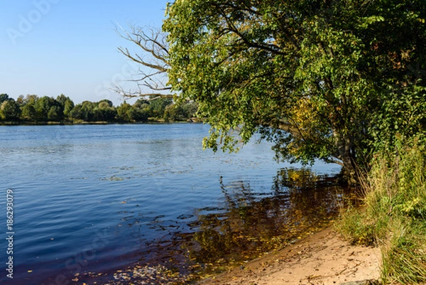 Fototapeta high water level in river Gauja, near Valmiera city in Latvia. summer trees surrounding