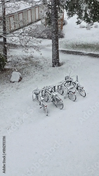 Obraz snow covered bicycles