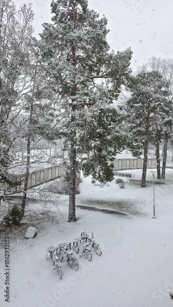 Obraz snow covered trees