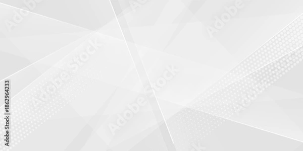 Obraz Abstract white and gray background. smooth abstract background, blurred pattern