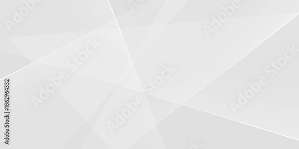 Obraz Abstract white and gray background. smooth abstract background, blurred pattern