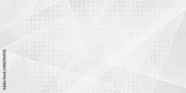 Obraz Abstract white and gray background. smooth abstract background, blurred pattern